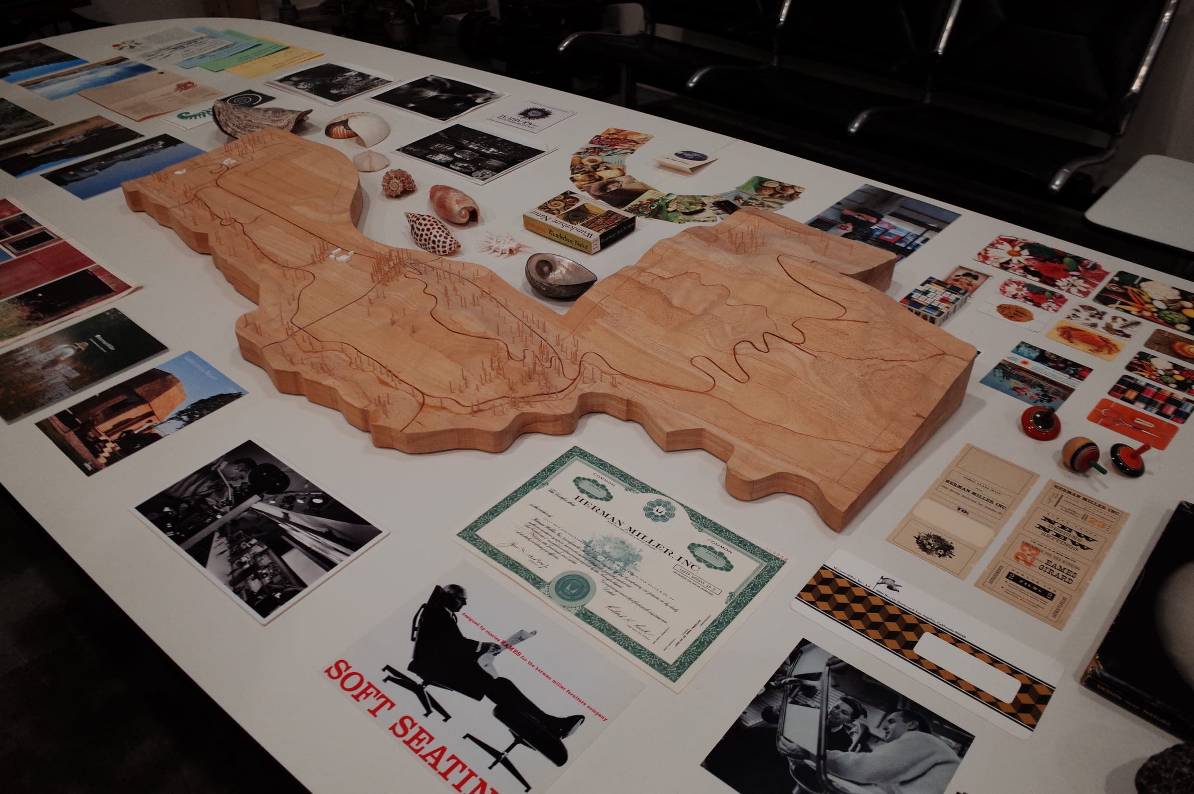 Archive table with shells and ephemera