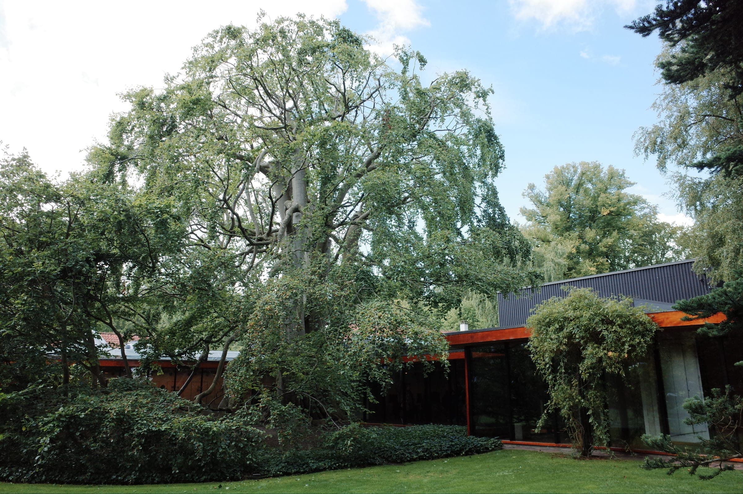 Louisiana Museum of Modern Art