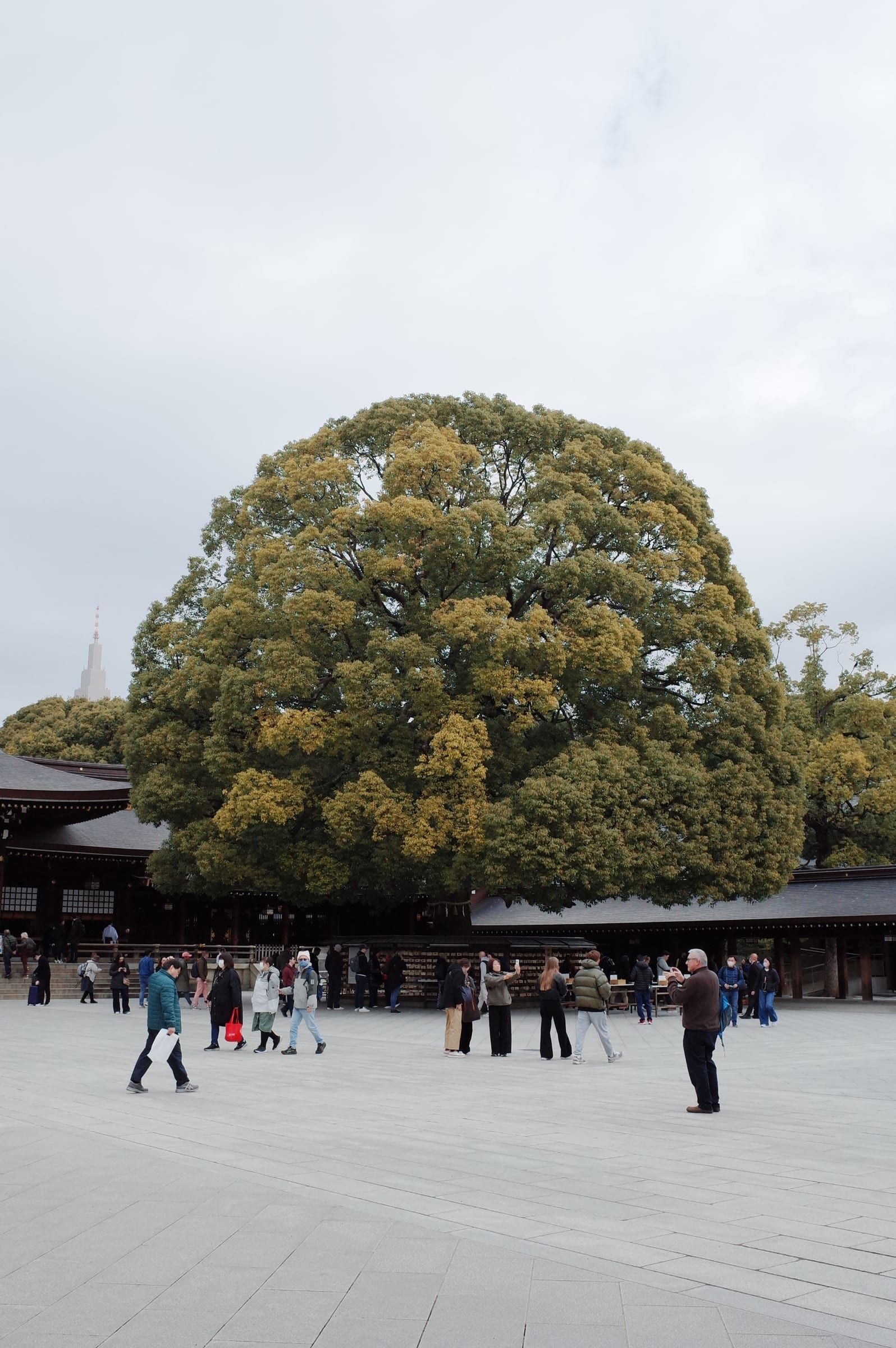Meiji Jingu