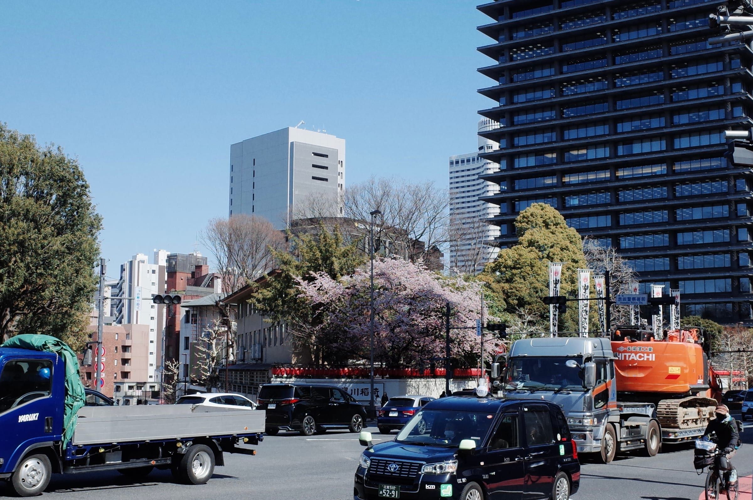 Sakura