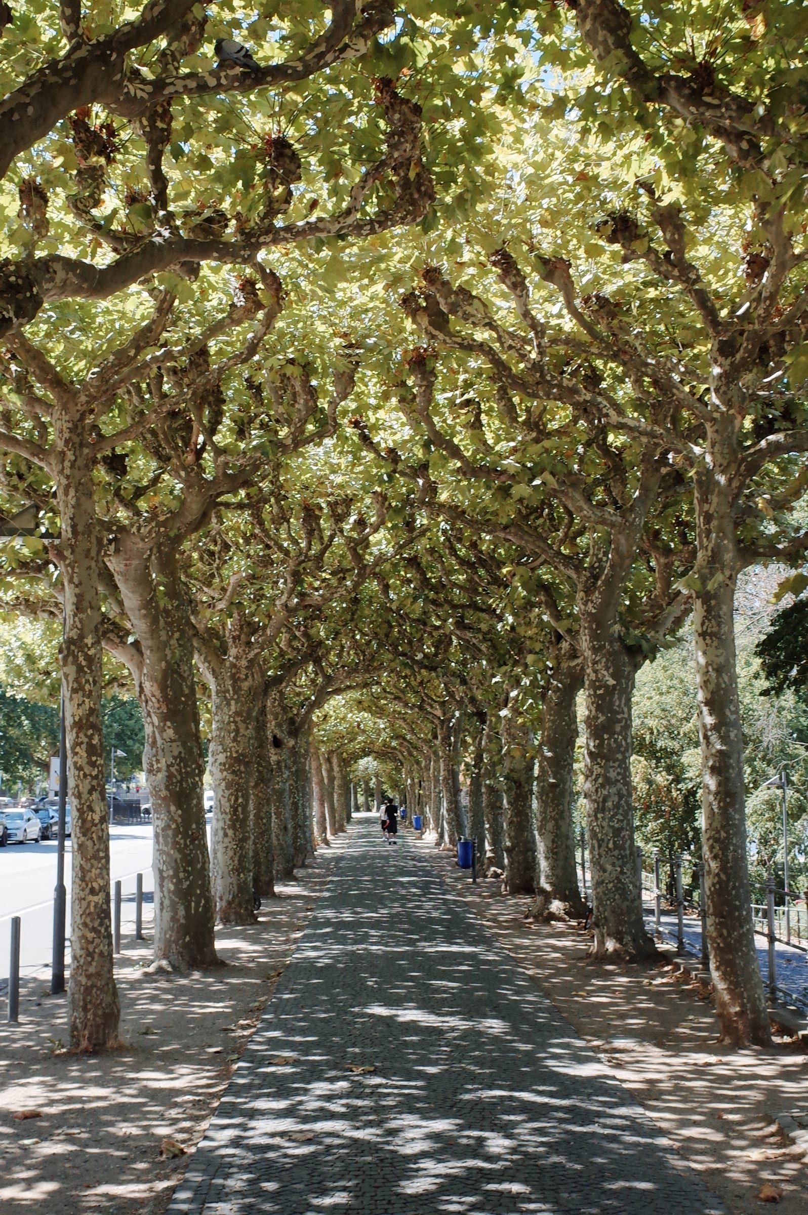 Frankfurt street view