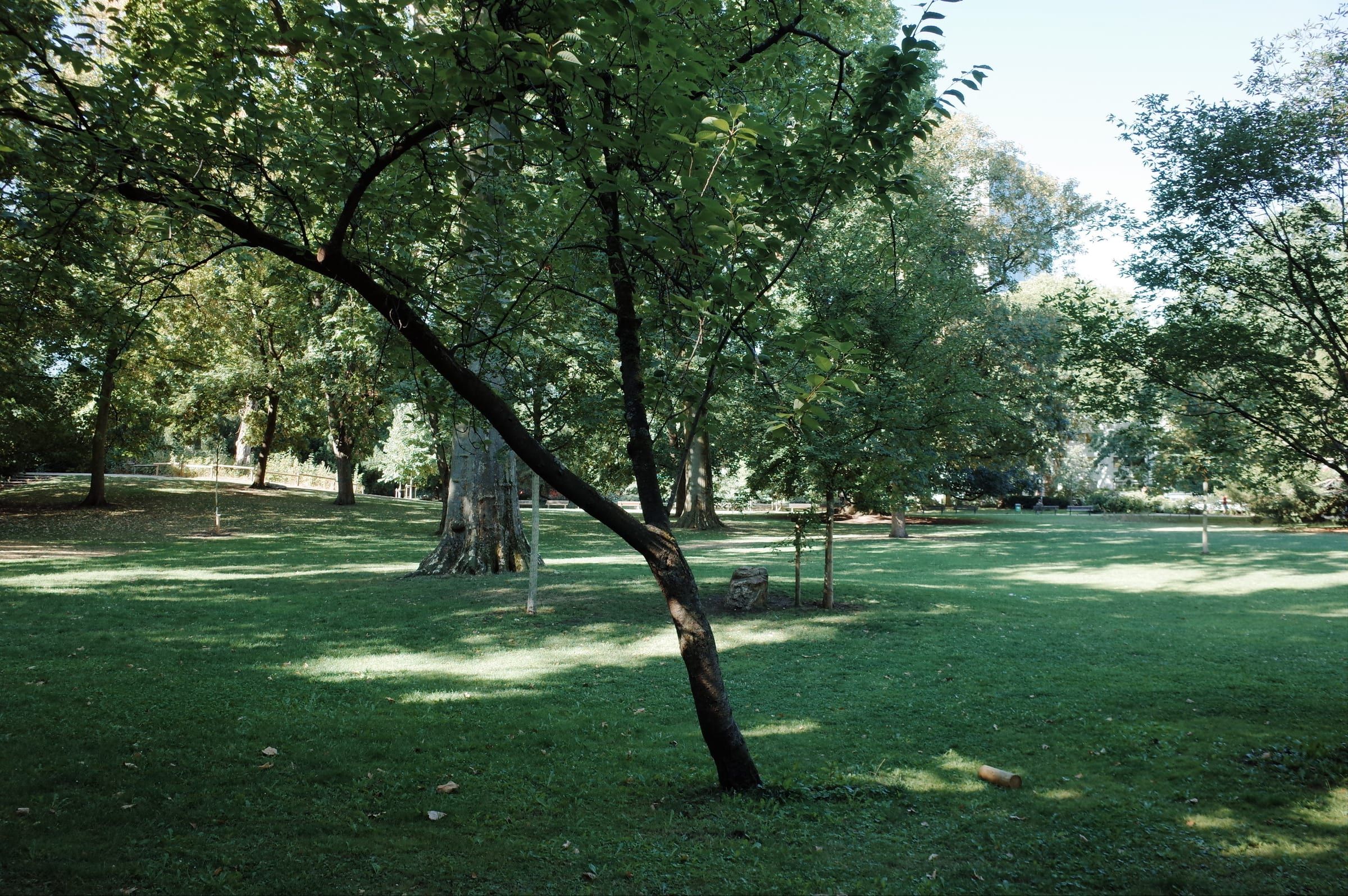 Frankfurt street view